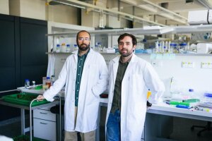 2026 04 08 Tk Utesuen Suayb-1