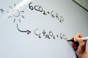 2024 06 20 Km Formel-1