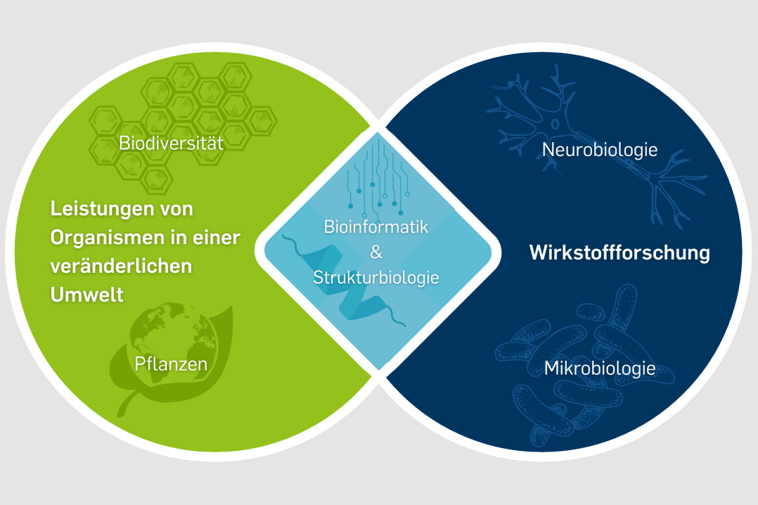 Forschungsschwerpunkte der Fakultät für Biologie und Biotechnologie an der RUB. © RUB, Biologie