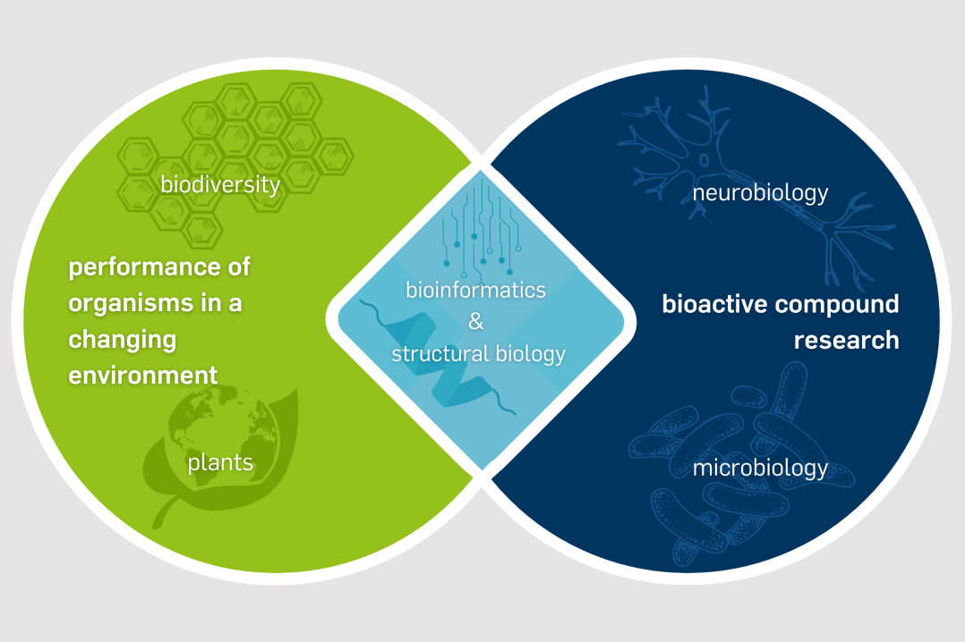 Research focus areas of the Faculty of Biology and Biotechnology at RUB. © RUB, Biology