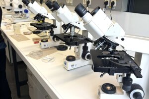 2026-02-19 Mintsight Bio _10_