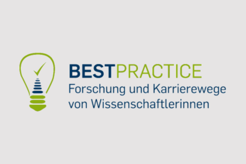 Best Practice Karrierewege Grau