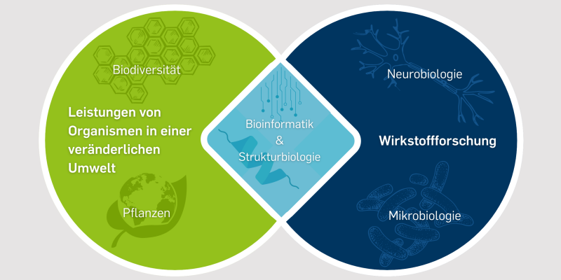 Schaubild Forschungsbereiche 2zu1 22.12.2025