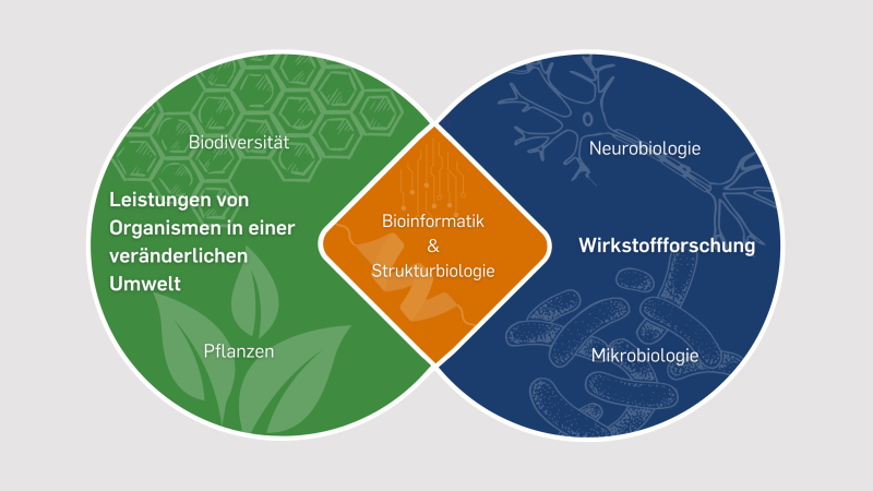 Forschungsschwerpunkte Final 2.04.2026 Grau